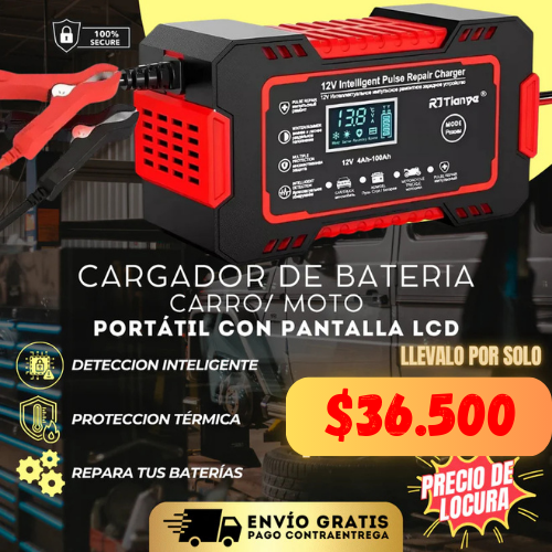 Cargador De Baterías